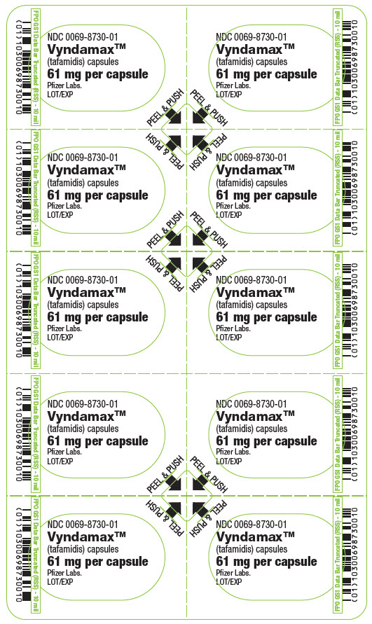 PRINCIPAL DISPLAY PANEL - 61 mg 캡슐 블리스터 카드
