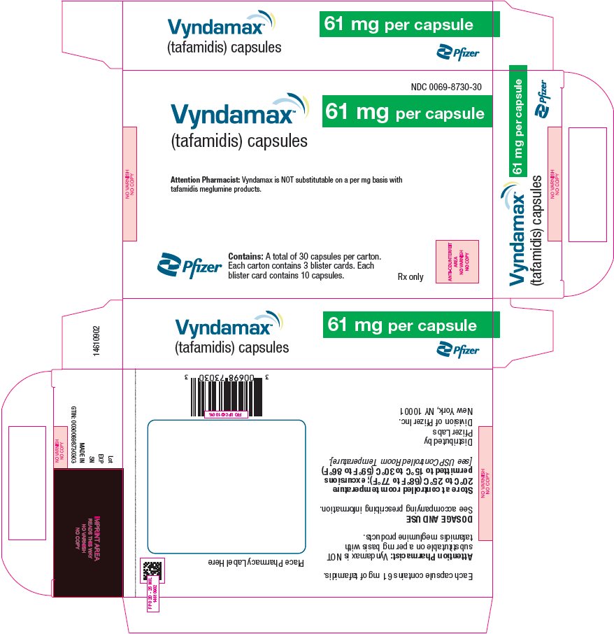 주요 표시 패널 - 61 mg 캡슐 블리스터 카드 카톤